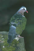 tkm001_780228