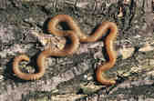 tkm001_780247
