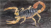 tkm001_780769