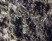 tkm001_781406