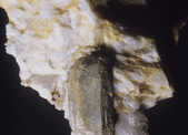 tkm001_781500