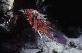 tkm001_783497