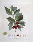 tkm001_784646