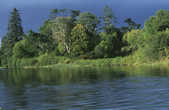 tkm001_791913