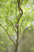 tkm001_800957