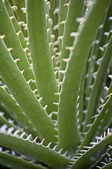 tkm001_802650