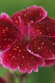 tkm001_803004