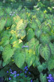 tkm001_803470