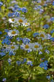 tkm001_804308