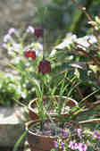 tkm001_804979