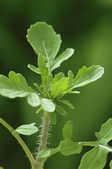 tkm001_805071