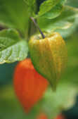 tkm001_805314