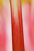 tkm001_805830