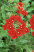 tkm001_807074