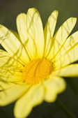tkm001_808361
