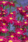 tkm001_808607