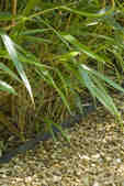 tkm001_808727
