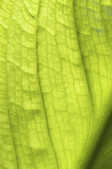 tkm001_808801