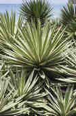 tkm001_809158