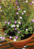tkm001_809720