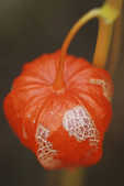 tkm001_810040