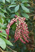 tkm001_810281