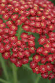 tkm001_810729