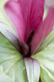 tkm001_812587