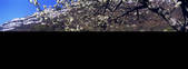 tkm001_820722