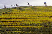 tkm001_821963