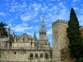 tkm001_870681