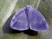tkm001_874725