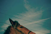 tkm001_879763