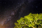 tkm001_889051