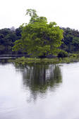 tkm001_890771
