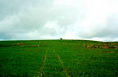 tkm001_890987