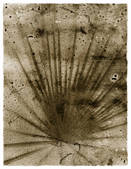 tkm001_955043