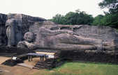 tkm003_182572
