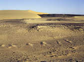 tkm003_183777