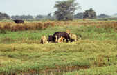 tkm003_185825