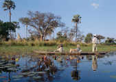 tkm003_185874