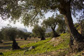 tkm003_187561
