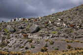 tkm003_187722