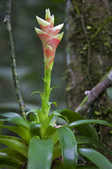 tkm003_187820