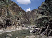tkm003_188571