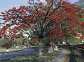 tkm003_189086