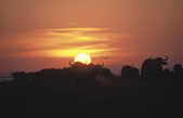 tkm003_189252