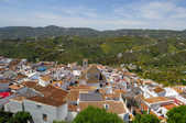 tkm003_189718
