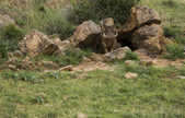 tkm003_190952