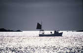 tkm003_195810